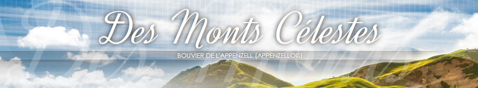 elevage-monts-celestes-bouviers