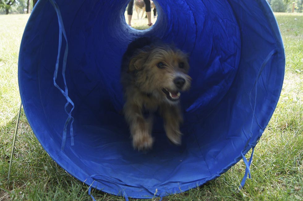 trop marrant ce tunnel