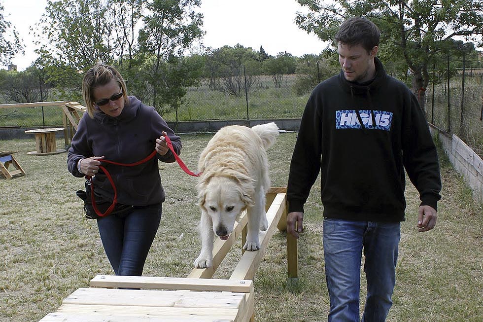 Nathalie Andri et Balou au travail, sur un parcours aérien