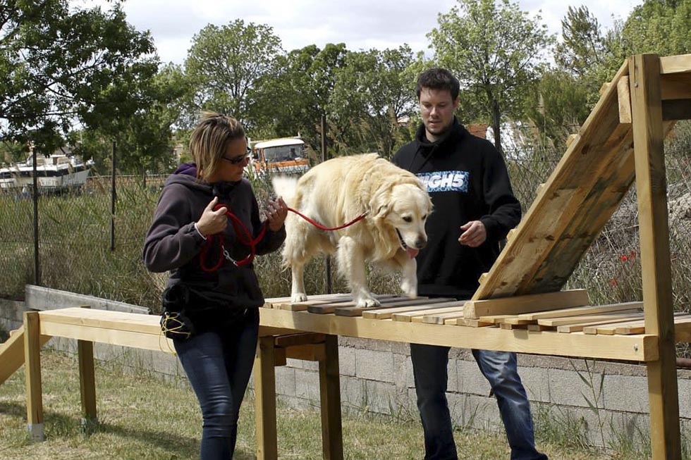 Nathalie Andri et Balou sur un atelier