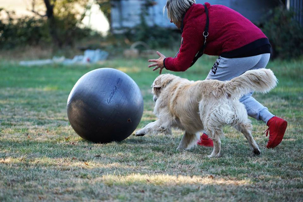 Jeu avec la ball de gym