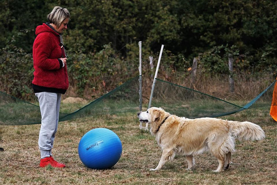 Jeu avec medecine ball