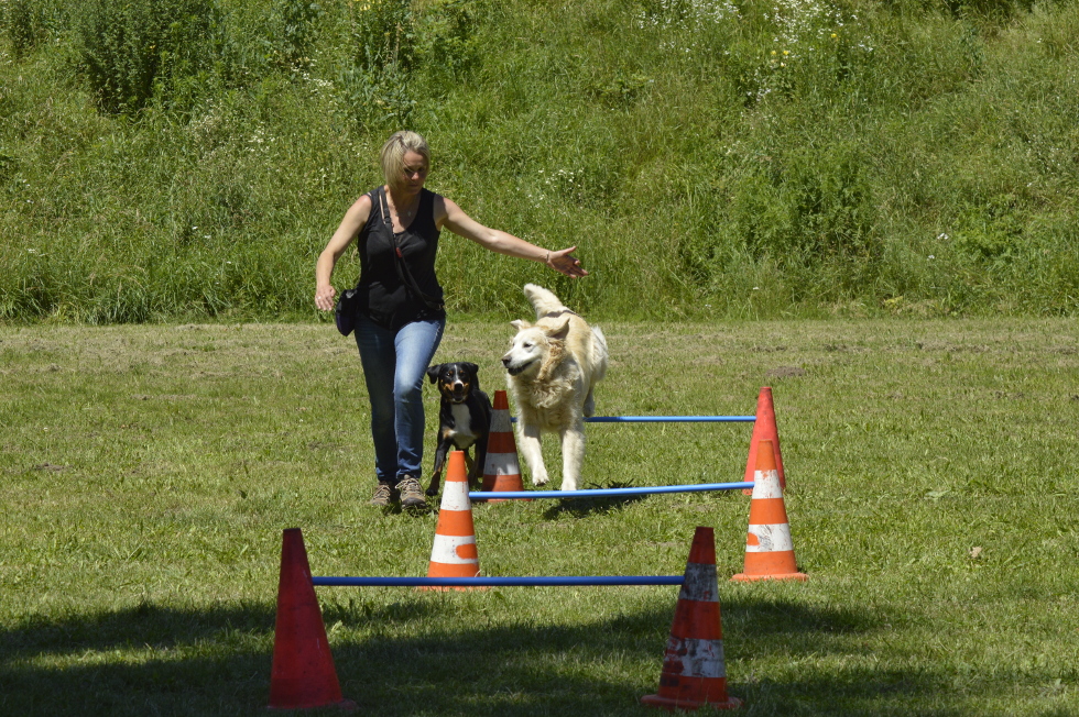 Saut de barres