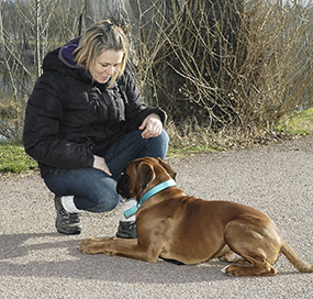 Nathalie Andri et un bouledogue couché, en attente des nouvelles instructions