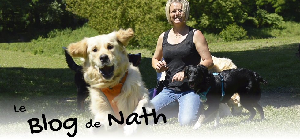 Le blog de Nath