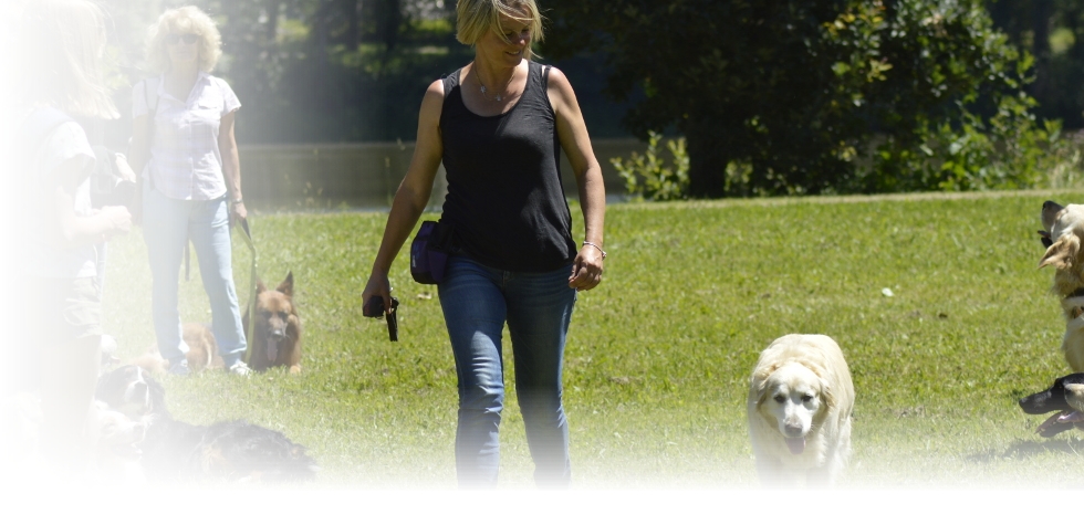 Contactez Nat&dogs