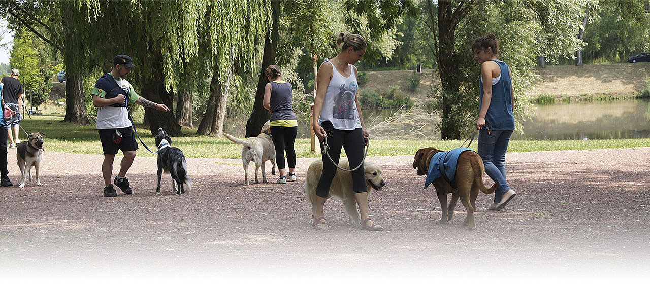 cours collectif dans un parc