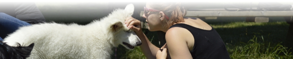 Classe chiot au parc