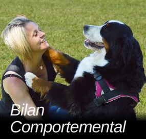 Bilan comportemental