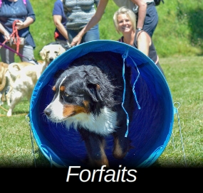 Forfaits