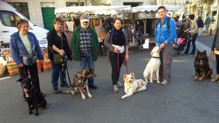 Cours Collectif au marché de Montbrison