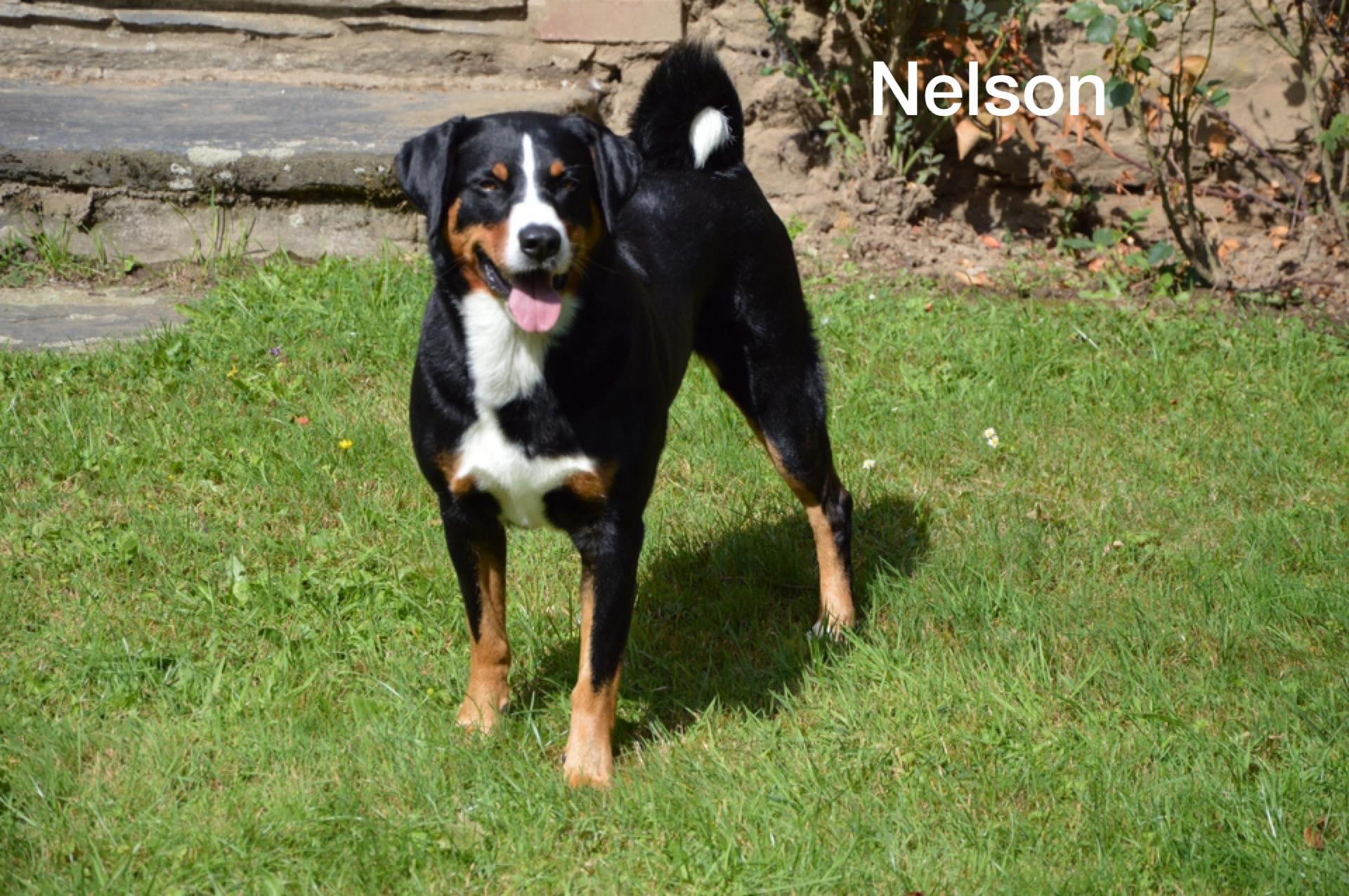 Nelson et Mamba ont passé un week-end en amoureux