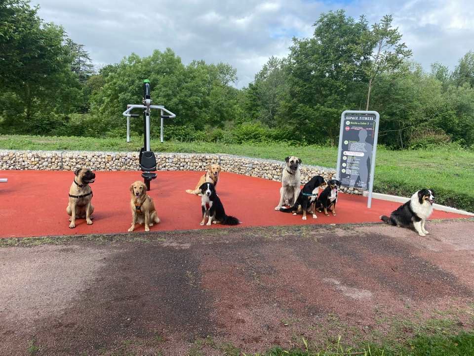 Cours collectif sportif